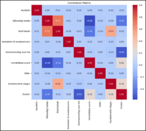 Copilot Excel matrix - eksempel på avanceret dataanalyse med Python